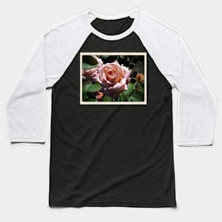 Pale Pink Rose Garden Baseball T-Shirt